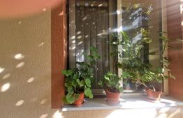 Casă 70 mp, 3 camere , bucatarie,  baie , teren 1270 mp, Prejmer 