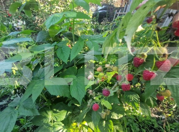 Casa de vânzare 3 camere Exterior Vest - 178179CV | BLITZ Brașov | Poza9