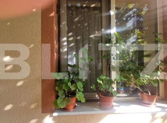 Casa de vânzare 3 camere Exterior Vest - 178179CV | BLITZ Brașov | Poza5