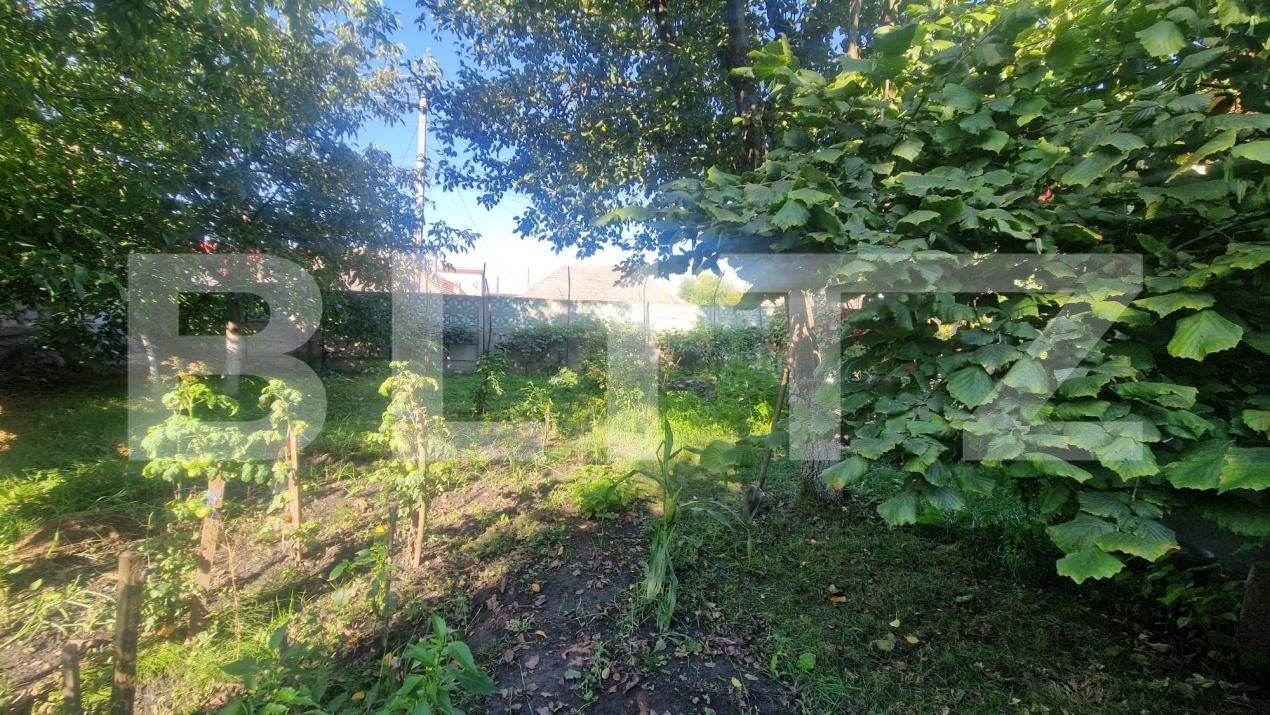 Casa de vânzare 3 camere Exterior Vest - 178179CV | BLITZ Brașov | Poza10