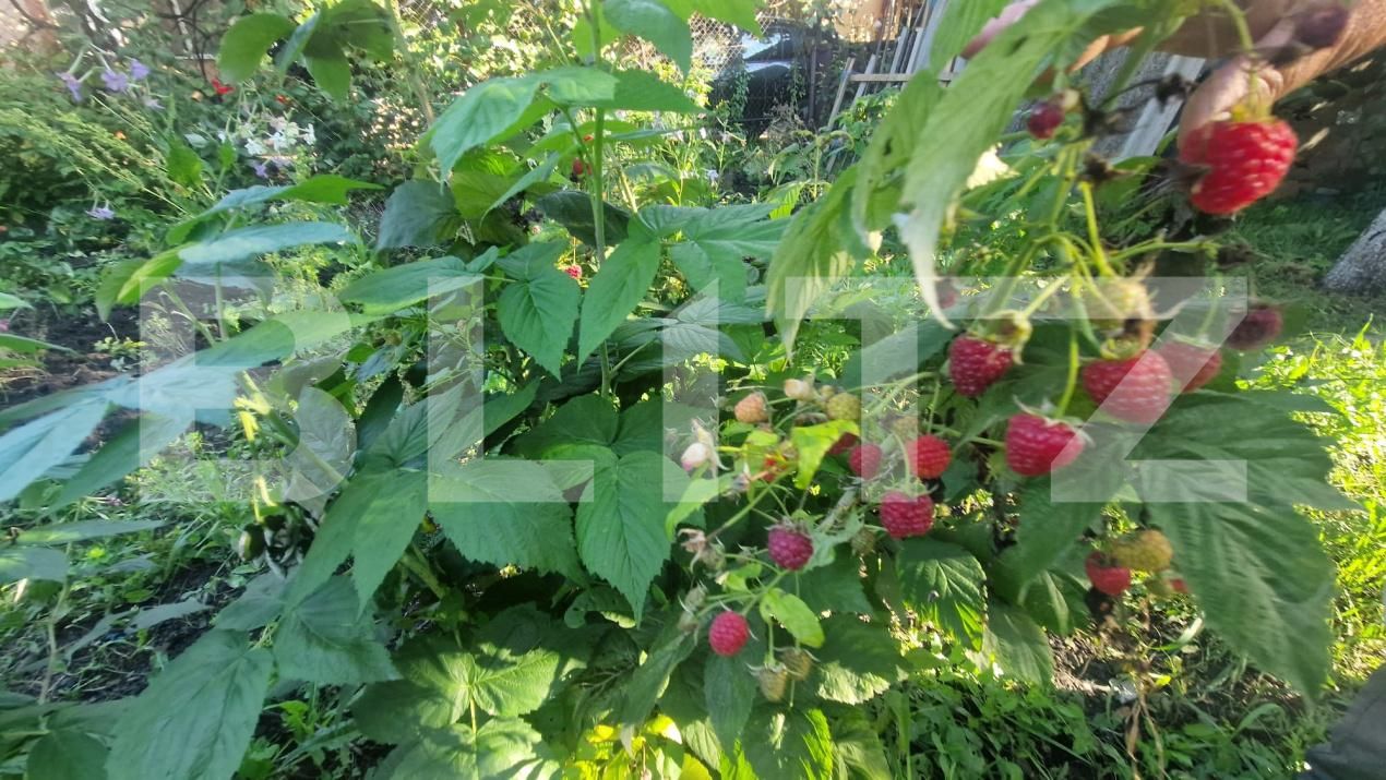 Casa de vânzare 3 camere Exterior Vest - 178179CV | BLITZ Brașov | Poza9