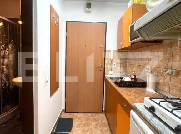 Garsonieră de închiriat Gheorgheni - 178189AI | BLITZ Cluj-Napoca | Poza3
