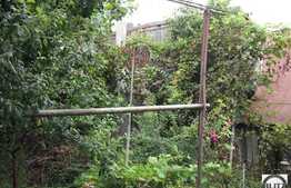 Casa Situata La Artera  Cu Vad Pietonal. Pretabil RESTAURANT !