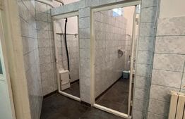 Spațiu generos de închiriat – demisol, 300 mp, Mănăștur