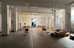 Spațiu generos de închiriat – demisol, 300 mp, Mănăștur