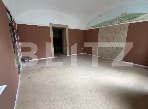 Spațiu comercial de închiriat Central - 178191SIC | BLITZ Cluj-Napoca | Poza2