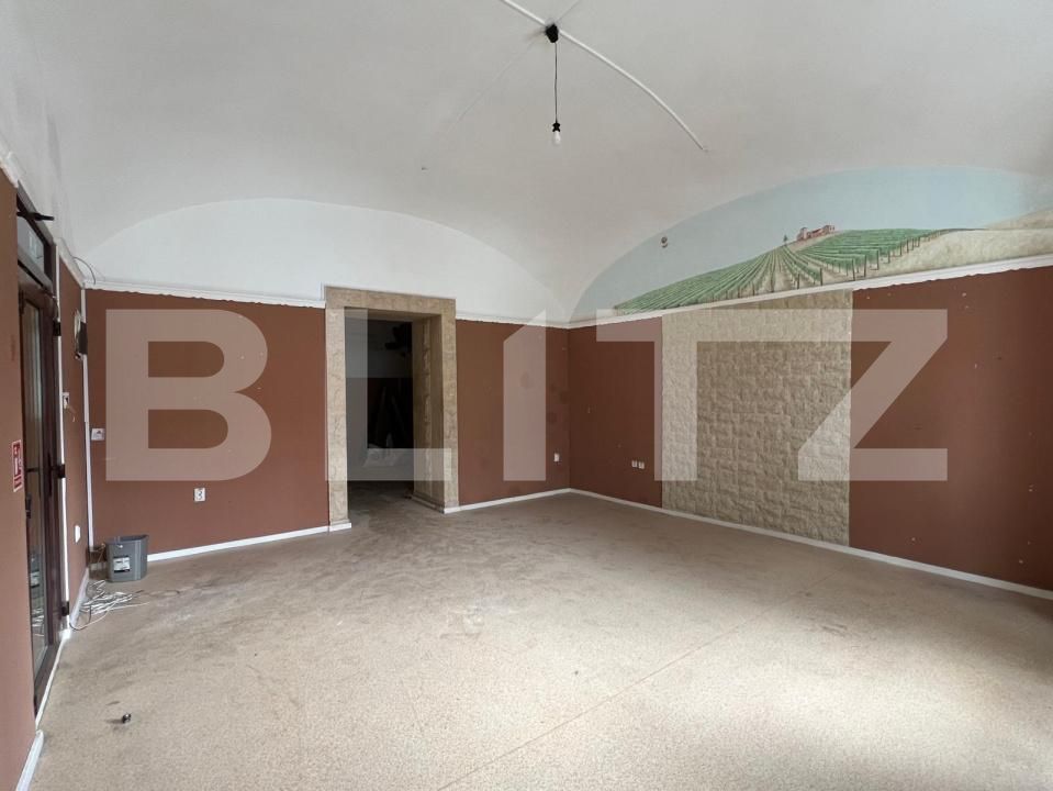 Spațiu comercial de închiriat Central - 178191SIC | BLITZ Cluj-Napoca | Poza1