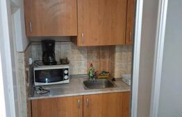 Apartament ultracentral, 2 camere