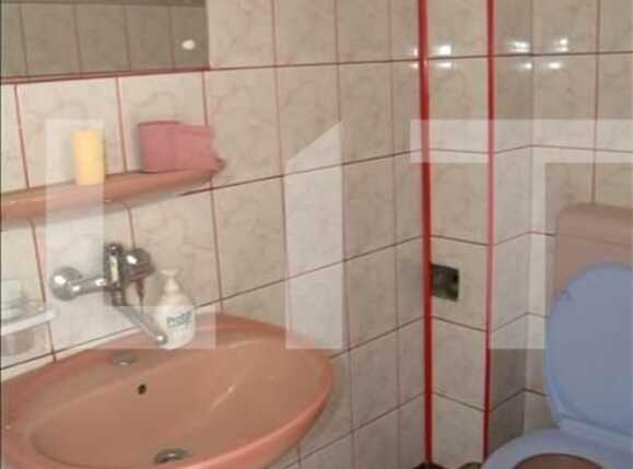 Casa de închiriat 1 camera Central - 17823CI | BLITZ Cluj-Napoca | Poza14