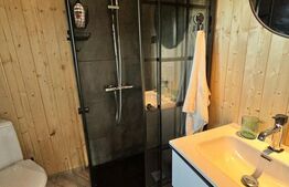 CASA DE LEMN-LOCUINTA SAU AFACERE LA CHEIE