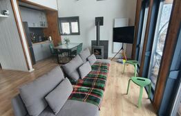 CASA DE LEMN-LOCUINTA SAU AFACERE LA CHEIE