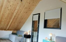 CASA DE LEMN-LOCUINTA SAU AFACERE LA CHEIE