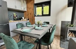 CASA DE LEMN-LOCUINTA SAU AFACERE LA CHEIE