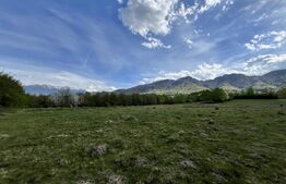 CASA DE LEMN-LOCUINTA SAU AFACERE LA CHEIE