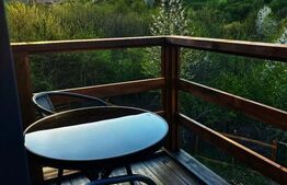 CASA DE LEMN-LOCUINTA SAU AFACERE LA CHEIE