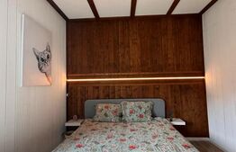 CASA DE LEMN-LOCUINTA SAU AFACERE LA CHEIE