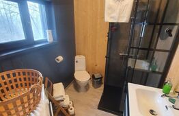 CASA DE LEMN-LOCUINTA SAU AFACERE LA CHEIE