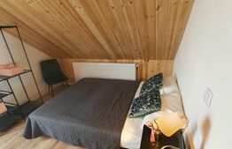 CASA DE LEMN-LOCUINTA SAU AFACERE LA CHEIE