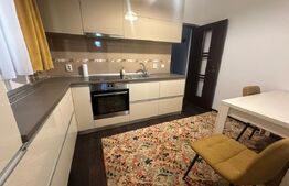 Apartament 1 camera, parcare, Borhanci