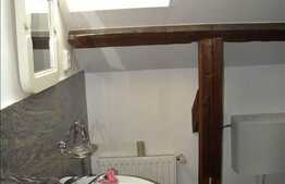 Casa renovata de inchiriat cu 220 mp utili!