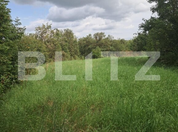 Teren de vânzare Tureni - 178346TV | BLITZ Cluj-Napoca | Poza2