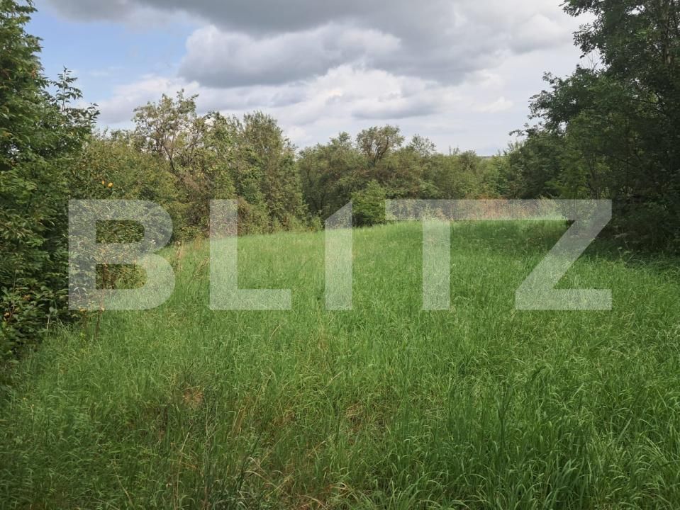 Teren de vânzare Tureni - 178346TV | BLITZ Cluj-Napoca | Poza2