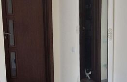 Apartament 3 camere – mobilat și utilat complet, etaj intermediar, zona Teilor 