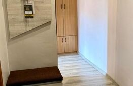 Apartament 1 camera, zona Centrala