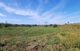 Teren extravilan, cu CF, 2963 mp, in Mihai Viteazu