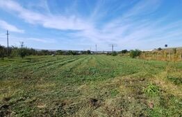 Teren extravilan, cu CF, 2963 mp, in Mihai Viteazu