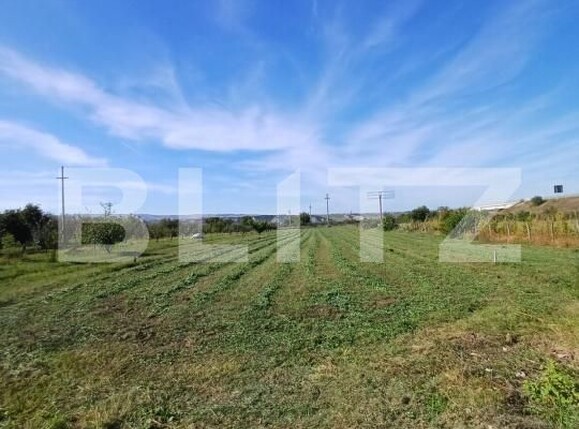 Teren de vânzare Mihai Viteazu - 178374TV | BLITZ Cluj-Napoca | Poza2