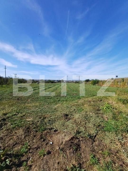 Teren de vânzare Mihai Viteazu - 178374TV | BLITZ Cluj-Napoca | Poza3