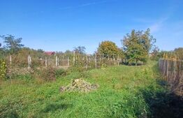 Casa renovabila, 3 camere, 1400 mp teren, in Mihai Viteazu