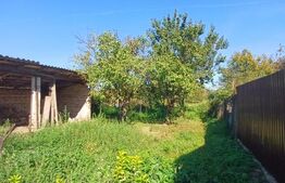 Casa renovabila, 3 camere, 1400 mp teren, in Mihai Viteazu