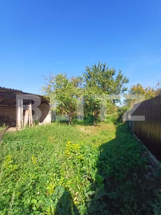 Casa de vânzare 3 camere Mihai Viteazu - 178416CV | BLITZ Cluj-Napoca | Poza19