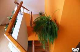 270 mp utili in centrul Clujului!