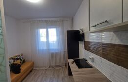 Camera de camin renovata complet, cu baie, 10 mp, zona Florilor