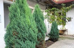 Garsoniera decomandata, 40 mp, curte, parcare, zona strazii Traian