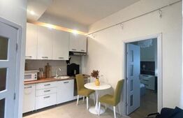 Garsoniera decomandata, 40 mp, curte, parcare, zona strazii Traian