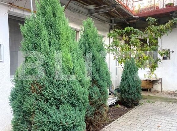 Garsonieră de închiriat Semicentral - 178450AI | BLITZ Cluj-Napoca | Poza6