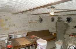 Vanzare proprietate, 2 case, 270 mp utili, 3300 mp teren, zona Centrala!