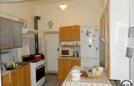 Vanzare proprietate, 2 case, 270 mp utili, 3300 mp teren, zona Centrala!