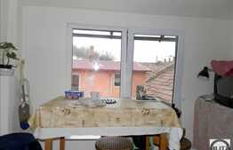 Vanzare proprietate, 2 case, 270 mp utili, 3300 mp teren, zona Centrala!