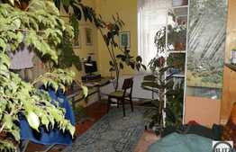 Vanzare proprietate, 2 case, 270 mp utili, 3300 mp teren, zona Centrala!