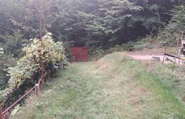 Casă de vânzare – Colonia 1 Mai 75.000 EURO