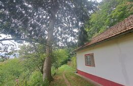 Casă de vânzare – Colonia 1 Mai 75.000 EURO