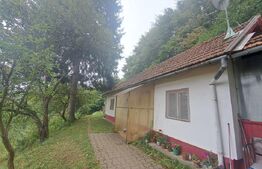 Casă de vânzare – Colonia 1 Mai 65.000 EURO