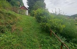 Casă de vânzare – Colonia 1 Mai 65.000 EURO