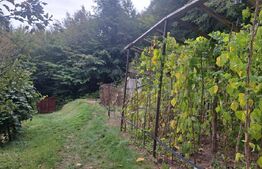 Casă de vânzare – Colonia 1 Mai 75.000 EURO