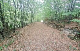 Casă de vânzare – Colonia 1 Mai 65.000 EURO